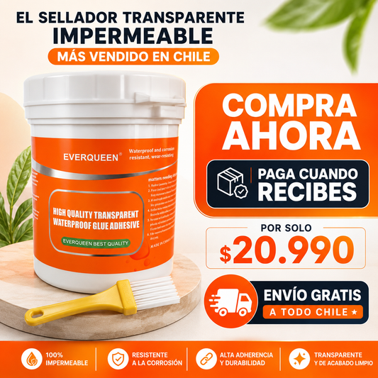 SELLADOR EVERGREEN - DILE ADIOS A LAS GOTERAS Y FILTRACIONES